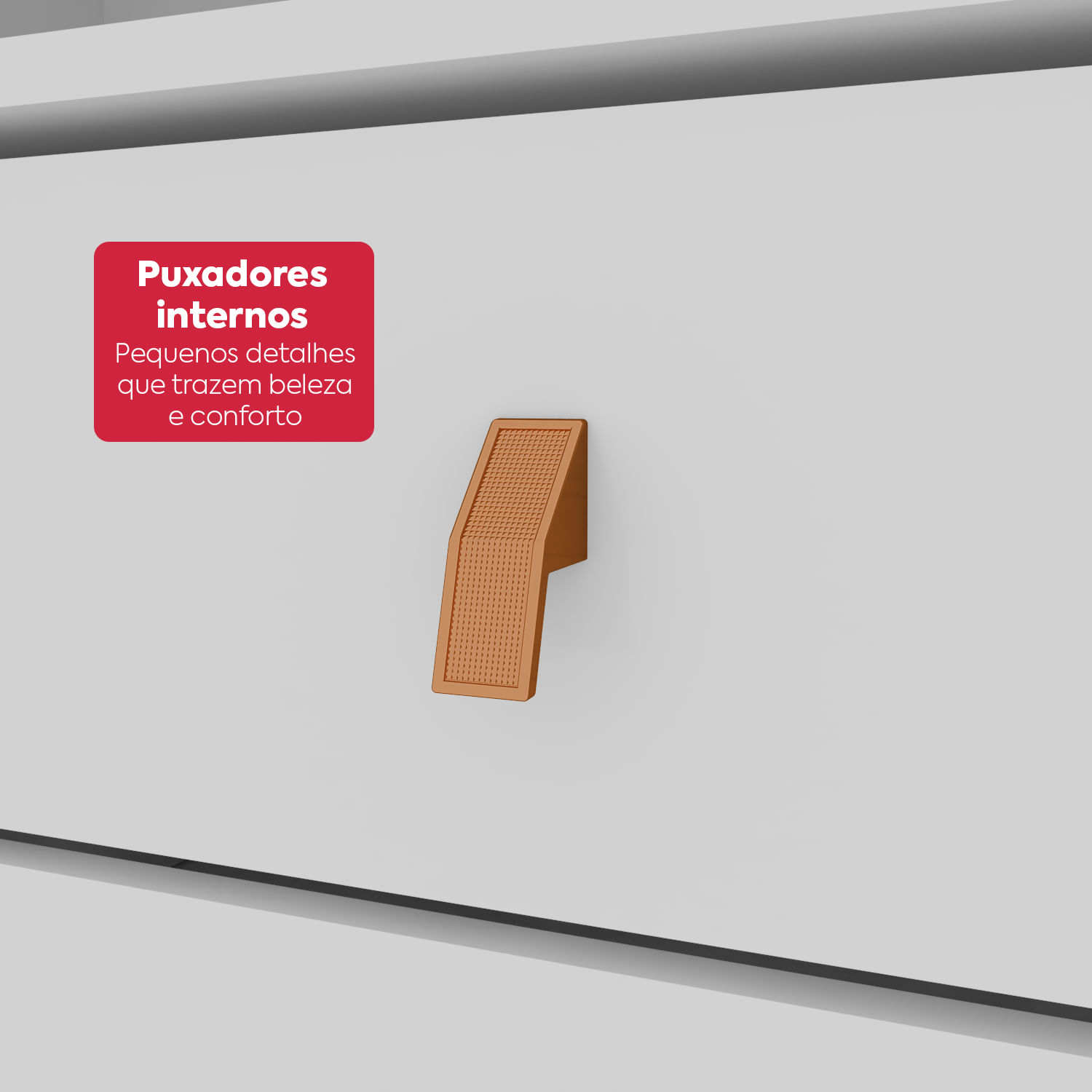 PUXADOR-INTERNO-BR